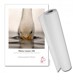 Photo Luster 290 gsm.  17" Rolle
