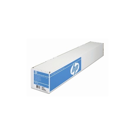 HP Professional Fotopapier, seidenmatt, A1, 610mm x 15,2m, 24" Rolle, 300g
