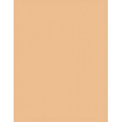 100-caramel Papierhintergrundrolle 2,72x11m