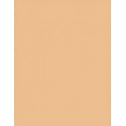 100-caramel Papierhintergrundrolle 2,72x11m