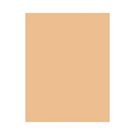 100-caramel Papierhintergrundrolle 2,72x11m