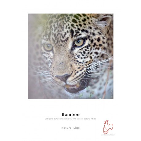 Bamboo 290g/m² 44" x 12m Rolle, Hahnemühle Natural Line